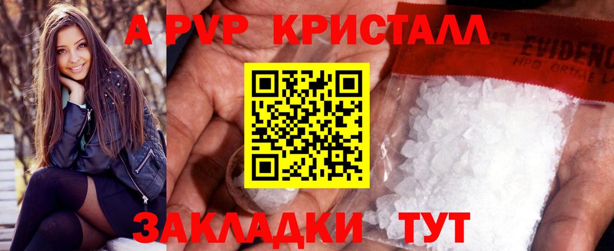 A PVP СК КРИС Луга